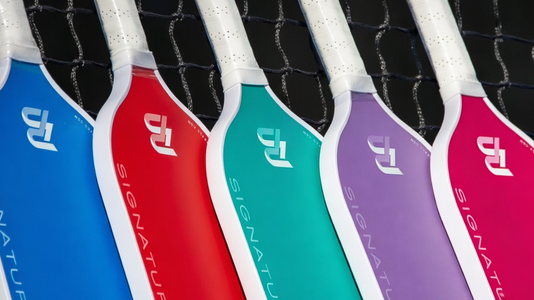 best pickleball paddle under 50 dollars carbon fiber beginner paddle
