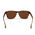 PBPRO Sunglasses Sunglasses | PB Signature Lifestyle | Brown
